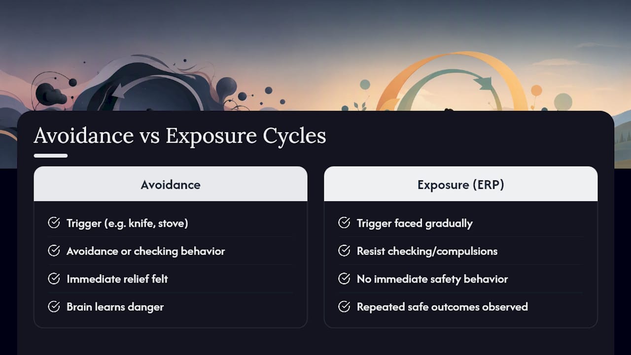 Avoidance cycle compared with ERP treatment cycle